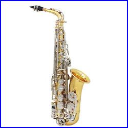 Professional Brass Alto Saxophone Eb E-Flat Sax with Padded Case Accessory S6J5