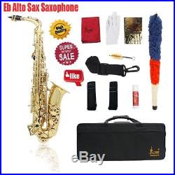 Professional Eb Alto Sax Saxophone Paint Gold with Case and Accessories UK TOP