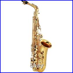 Professional Eb Alto Saxophone Brass Alto Saxophone E Flat Bending Tube Sax Set