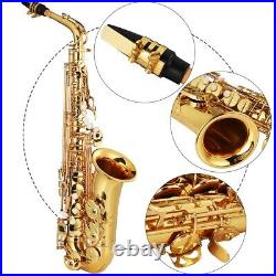 Professional Eb Alto Saxophone Electrophoresis Gold E Flat Bending Tube Sax Set