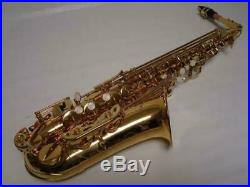 Professional Gold Alto Saxophone Sax Brand New