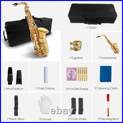 Professional NSA-802 Eb Alto Saxophone Brass Sax Accessory Mouthpiece