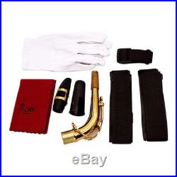 Professional Silver Gold Eb Alto Sax Saxophone with Accessories Kit & Carry Case