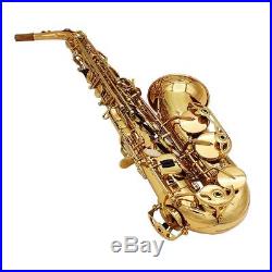 Professional Silver Gold Eb Alto Sax Saxophone with Accessories Kit+Case D9O9