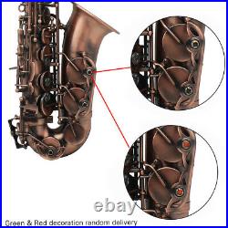 Red Bronze Bend Eb E-flat Alto Saxophone Sax Kit Carve Pattern +Case Gloves H5X5