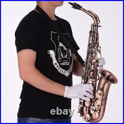 Red Bronze Bent Eb Alto Saxophone E-flat Sax + Carry Case Gloves Reeds E5A0