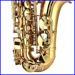 SALE Alto Eb Sax Saxophone Brass Golden Set with Storage Box Mouthpiece Grease