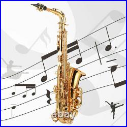 SALE E-flat Alto Sax Saxophone Gold Musical Set with 802 Key Type for Adult Kid