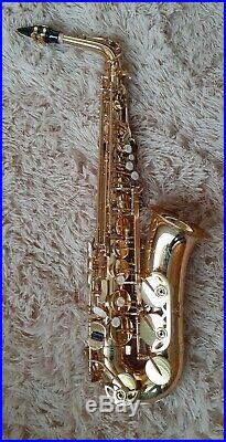 Sakkusu Alto Saxophone with hard case Ideal Beginner sax