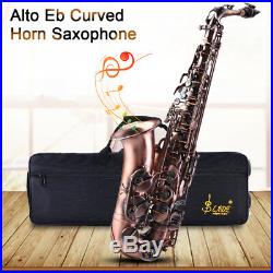 Saxophone Alto Eb Alto Avec Boîte Haute Selmer E Flat Sax Professional Bronze