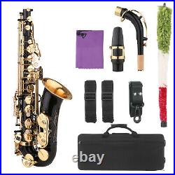 Saxophone Black Paint E-flat Sax for Beginner Brass Eb Alto Saxophone R1J0
