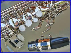 Silver Alto Sax Brand New STERLING Eb Saxophone Case and Accessories