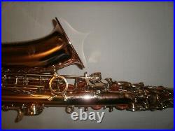 Walstein Bronze AS-P Alto Saxophone Sax ROCK/SKA/FUNK/Hi-NRG HORN serviced
