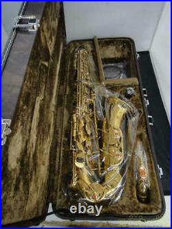 YANAGISAWA A-900 A900 Alto Saxophone Sax Serviced Tested With Hard Case Used Ex++