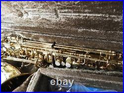 YANAGISAWA Alto SAX A-900 saxophone MAINTENANCE from japan Rank C