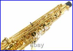 YANAGISAWA Alto Saxophone Sax A-901 Maintained Function Tested Used