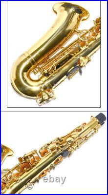 YANAGISAWA Alto Saxophone Sax A-901 Maintained Function Tested Used