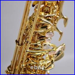 Yanagisawa A-WO10 Alto Sax Brass heavy specification Lacquer finish